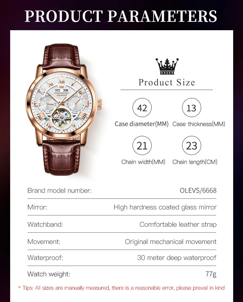 OLEVS 6668 Chronograph Moon Phase Calendar Leather Strap Quartz Watch - OLEVS